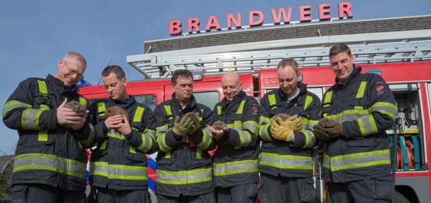 Meet & Greet met de brandweer in Weesp