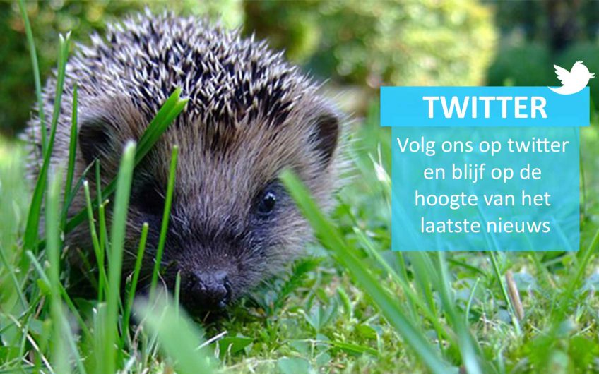 Volg ons op Twitter!