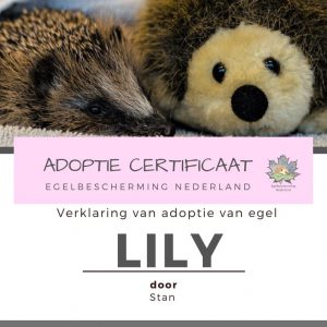 Adoptie met knuffel en certificaat