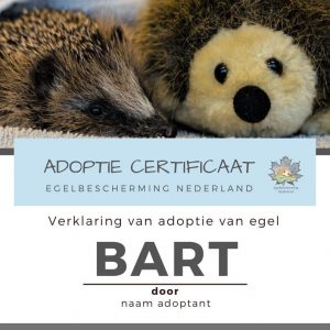 Adoptie cadeaupakket met certificaat en knuffel