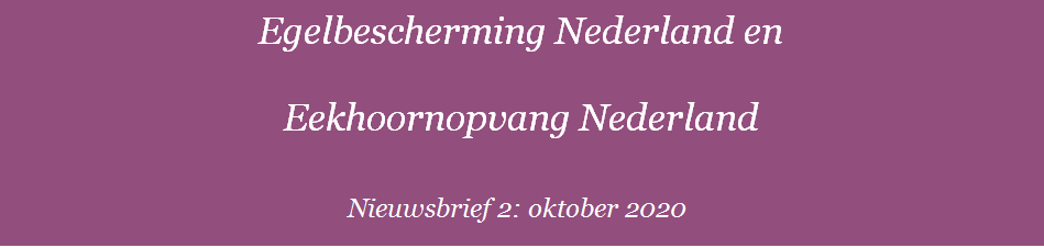 Nieuwsbrief 2: oktober 2020