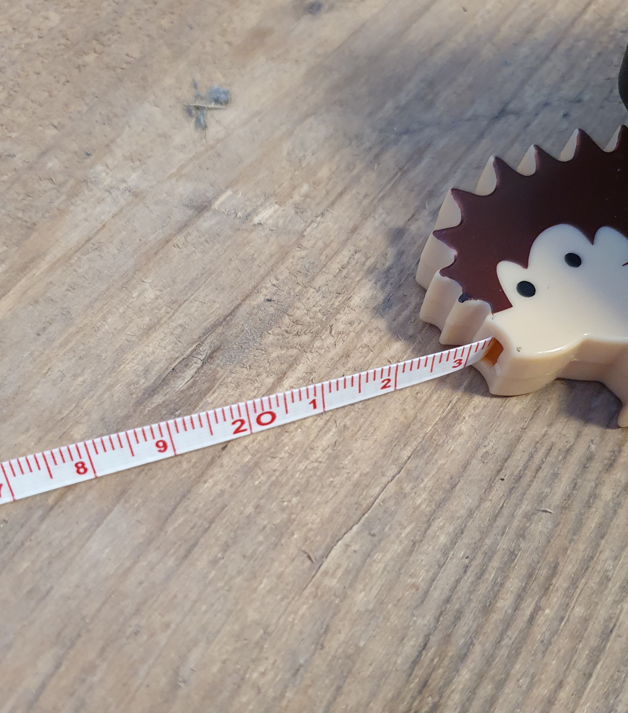 centimeter egelvorm