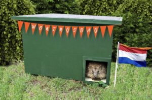 Fijne Koningsdag!