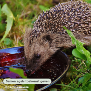 Bijvoeren of besmetten?