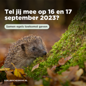 Egeltelling 2023 – Tel jij ook mee?