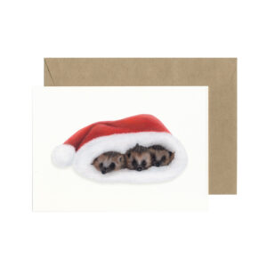 Set van 5 egel kerstkaarten
