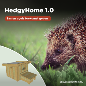 HedgyHome 1.0 is geboren!