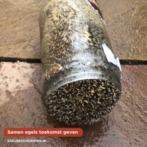 Een groot gevaar zit in een klein potje