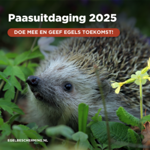 Paasuitdaging 2025 – Geniet van Pasen én geef egels een kans!