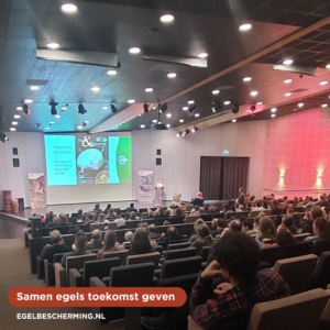 Ruim 500 bezoekers bij succesvolle lezing Egelbescherming Nederland op Zoogdierdag