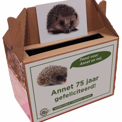 Verjaardagsbox