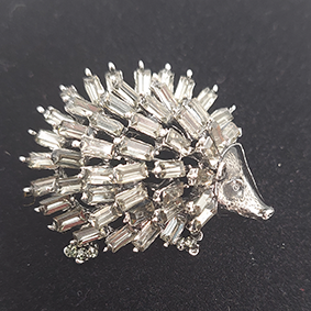 Glanzende egelbroche