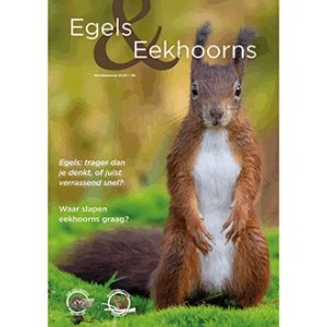 Magazine Egels & Eekhoorns Herfstspecial 2025