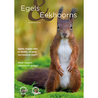 Magazine Egels & Eekhoorns Herfstspecial 2025