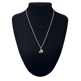 Egelhanger met zilveren ketting