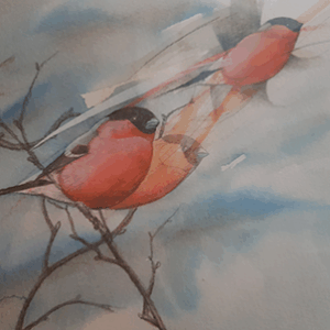 Walty Dudok van Heel