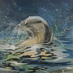 Walty Dudok van Heel