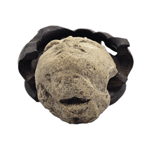 Gezichtsfragment in zandsteen