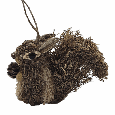 Rieten eekhoorn met dennenappel