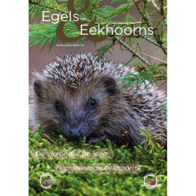Magazine Egels & Eekhoorns Herfstspecial 2026