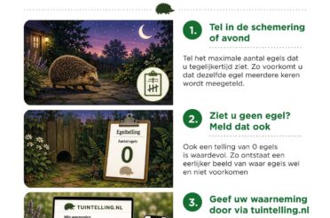 Tel jij dit jaar ook (weer) mee?